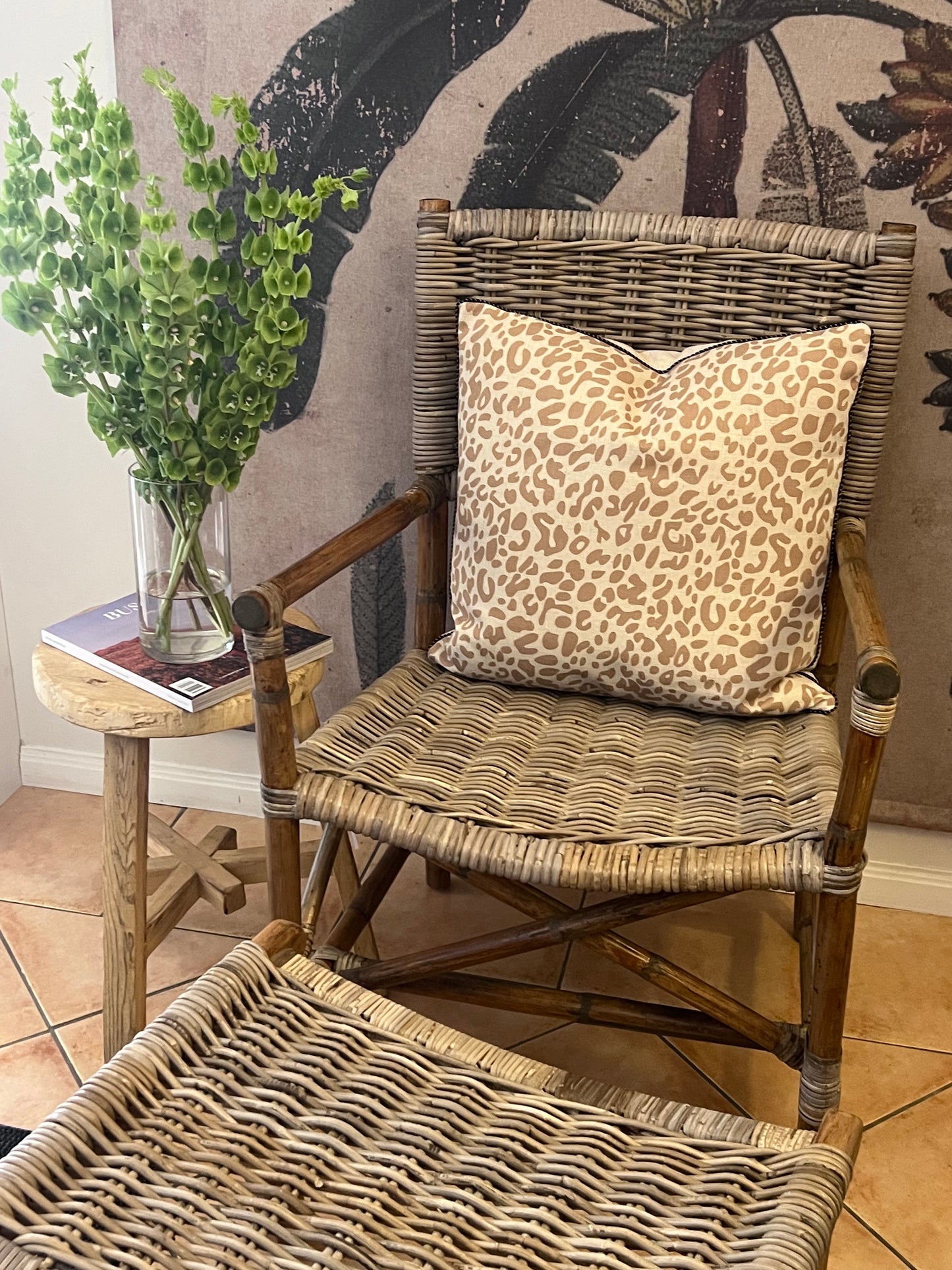 Rattan Directors Chair