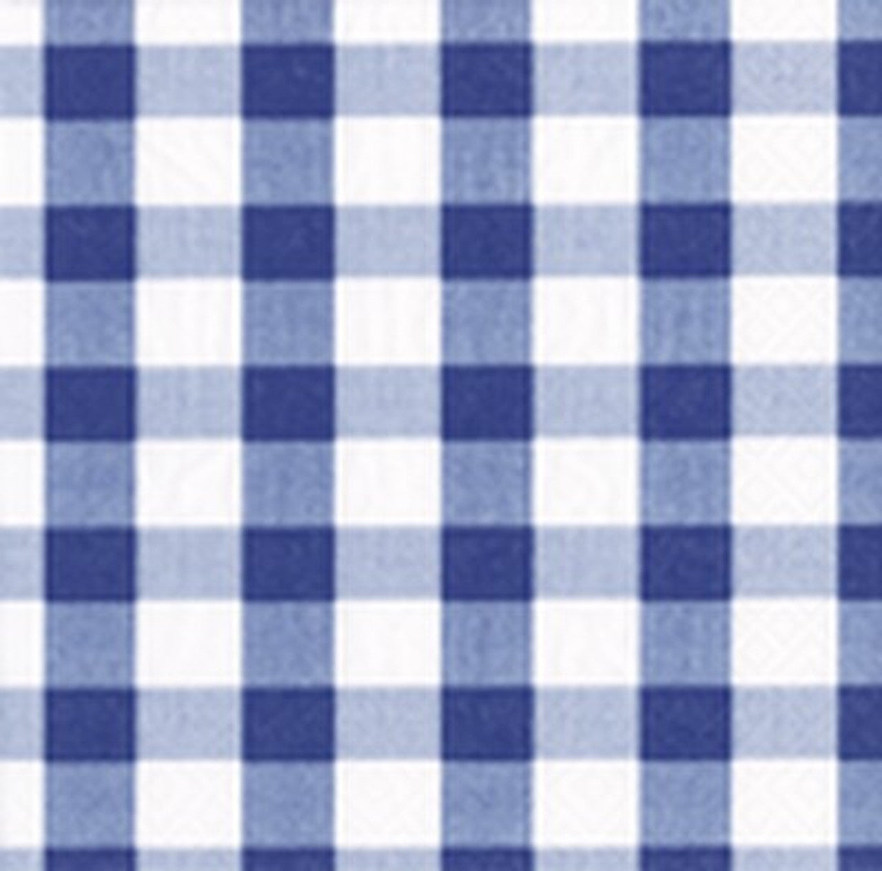 Blue Gingham Napkins