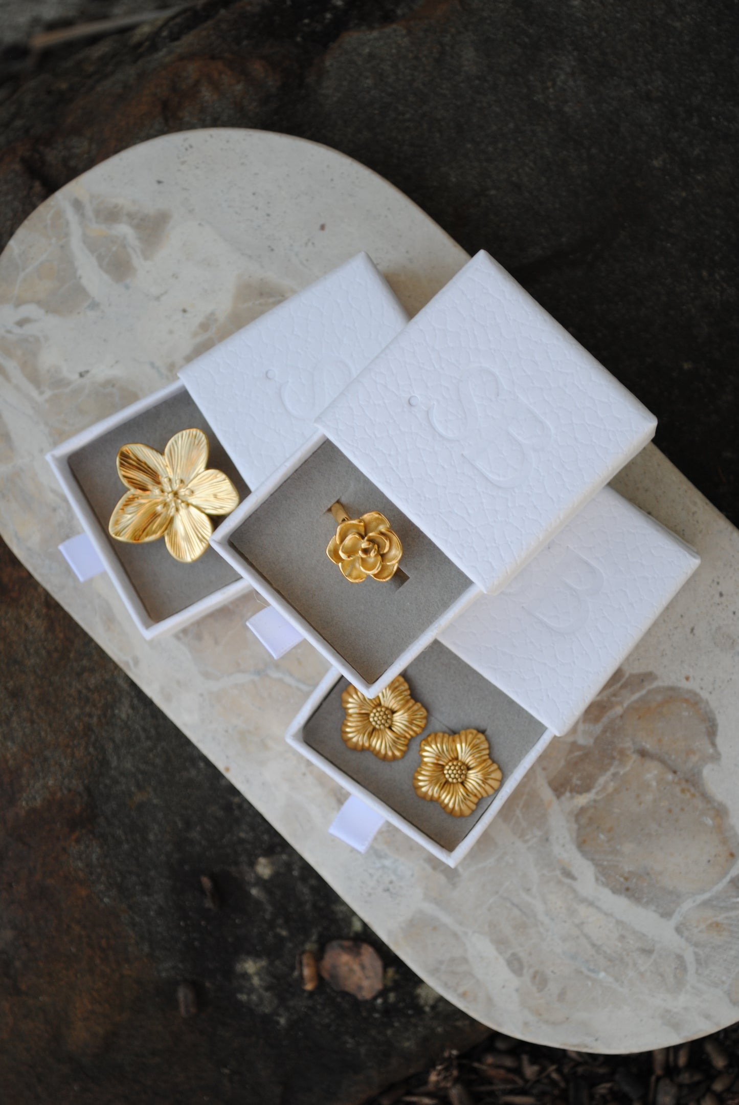 Aimee Ring
