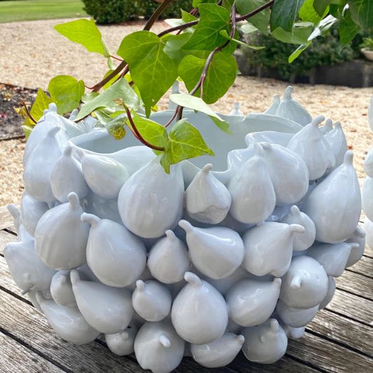 Medium Fig Vase