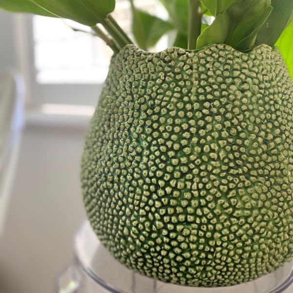 X- Large Mode Lychee Vase