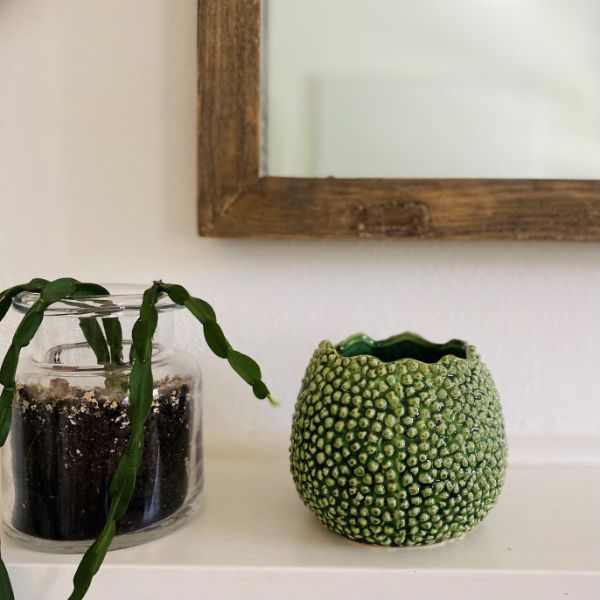 Small Mode Lychee Vase