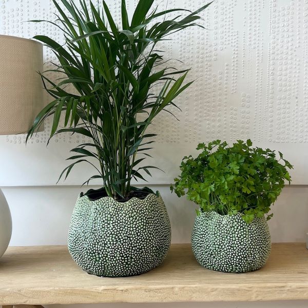 Large Mode Lychee Vase