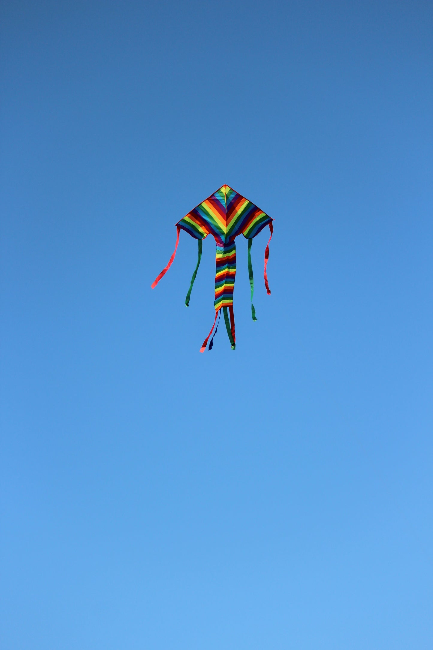 Large Rainbow Kite