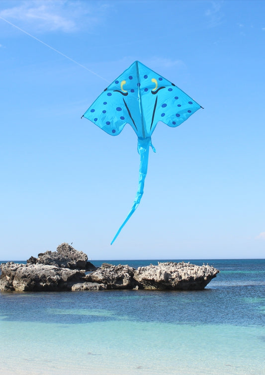 Stingray Kite