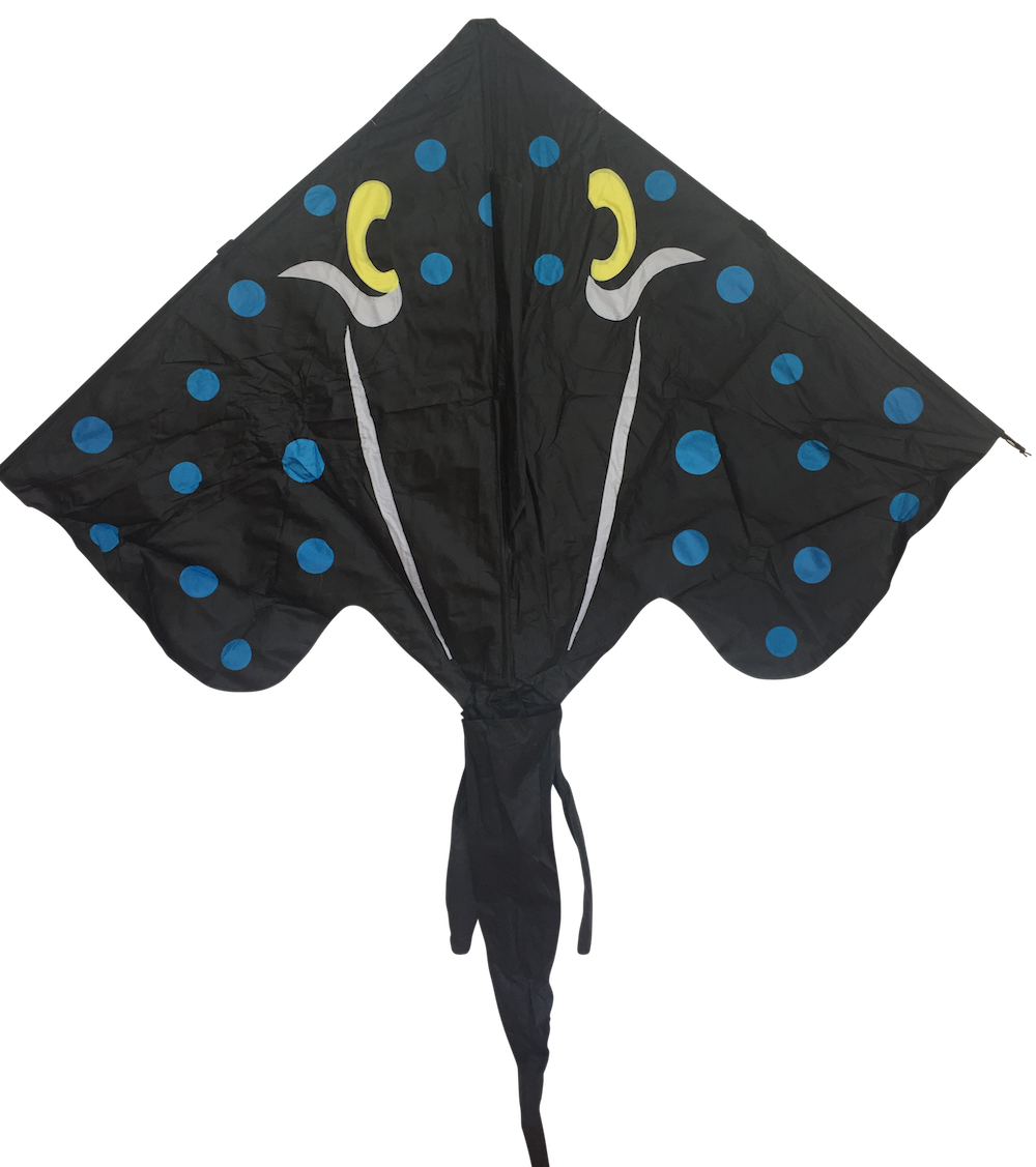 Stingray Kite
