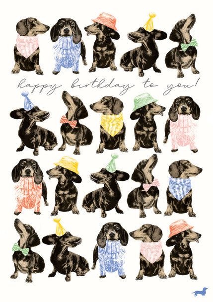 Frank in Hats and Jumpers