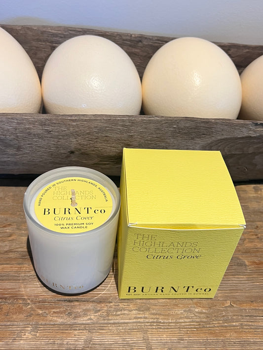 Citrus Grove Candle