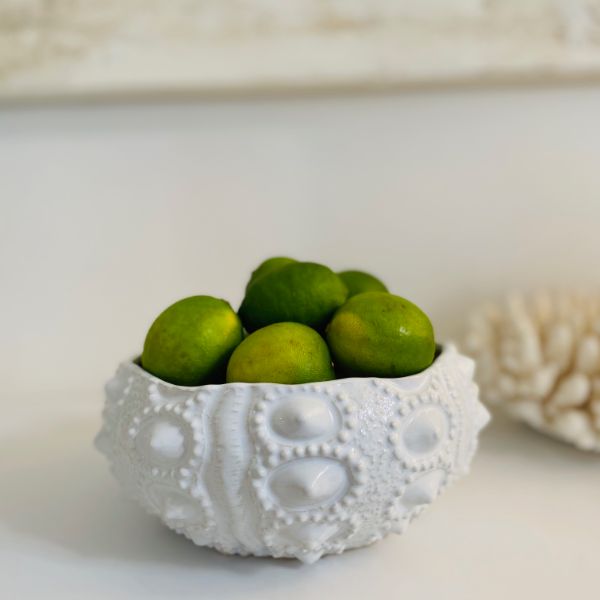 Mode Anemone Bowl