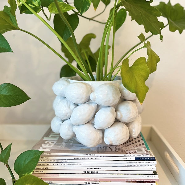 Lemon Planter