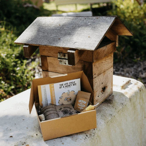 Bee The Change Mindful Seed Growing Kit