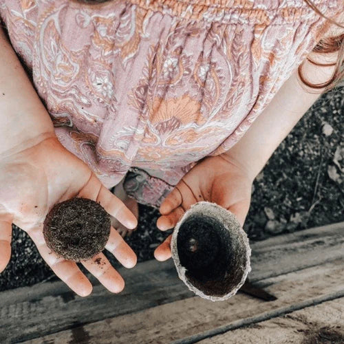 Grow with Gratitude Mindful Seed Growing Kit