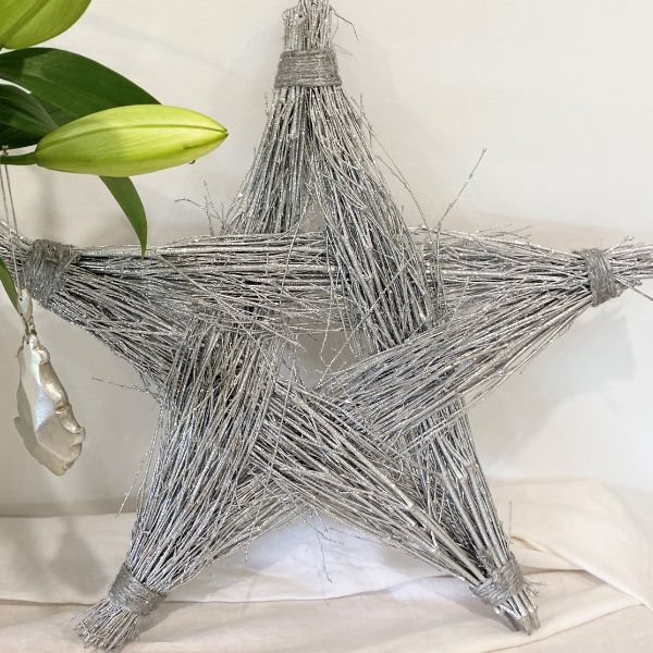 Krissy Silver Star