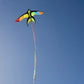 Swallowtail Kite
