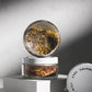 Spicy Chilli Cocktail Rimming Kit