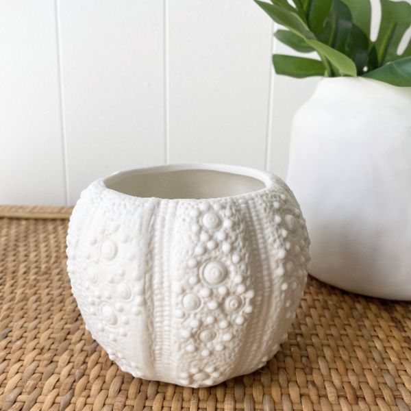 Mode Urchin Vase