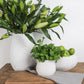Porci Vase Small