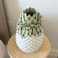 Pineapple Vase