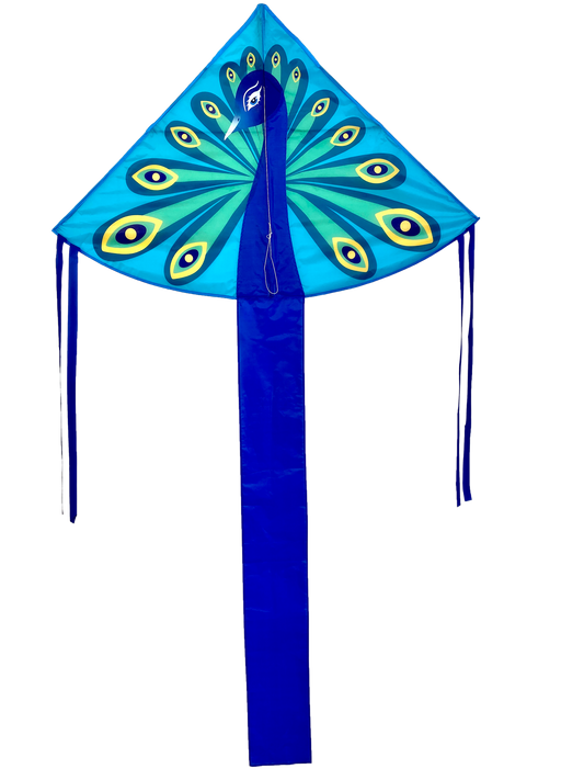 Peacock Kite