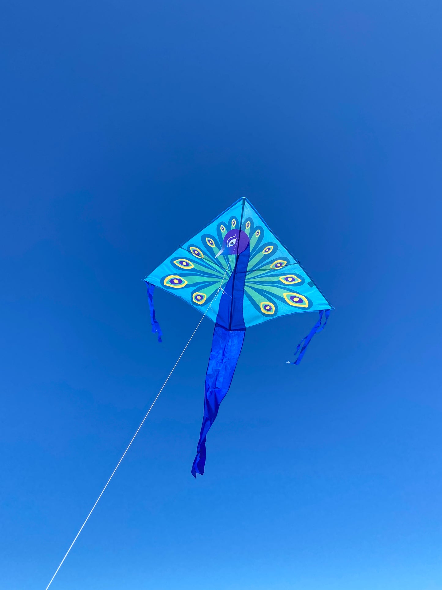 Peacock Kite