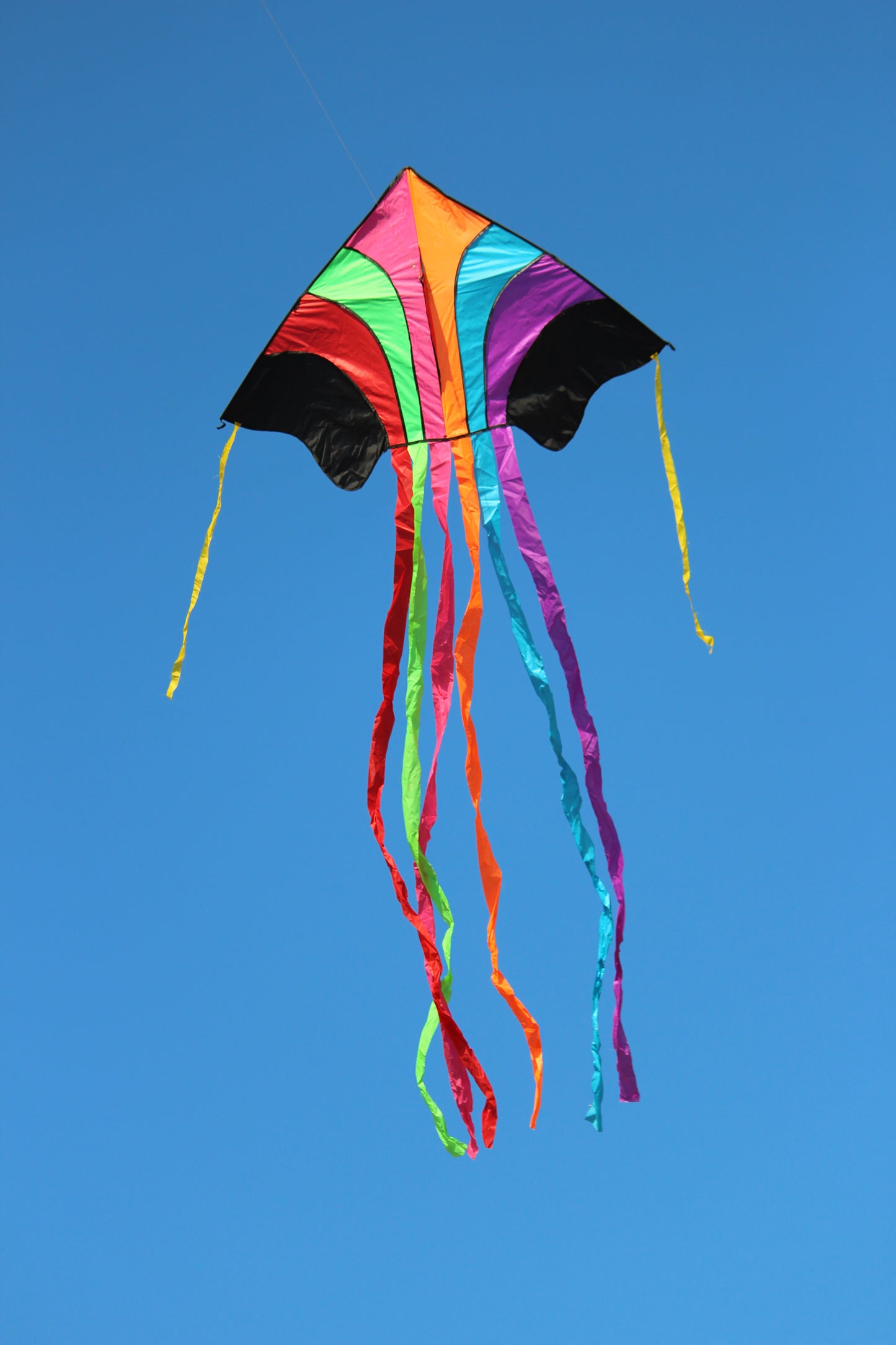Large Wonderland Kite