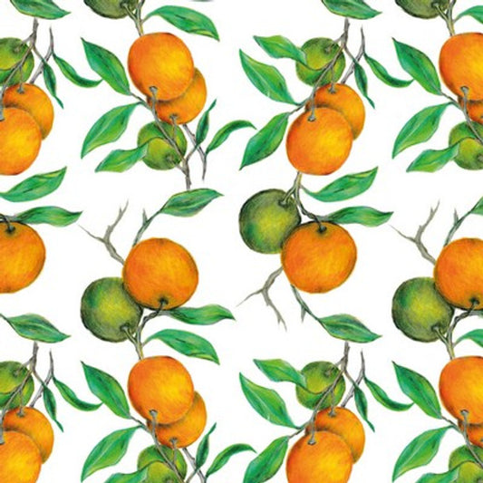Beautiful Oranges Napkins