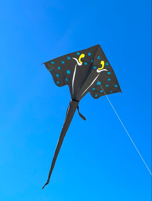 Stingray Kite