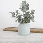 FLAX Kitchen Pot