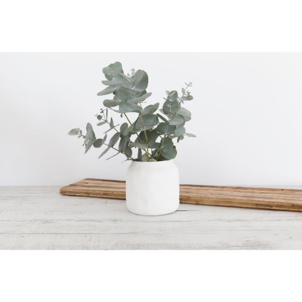 FLAX Kitchen Pot